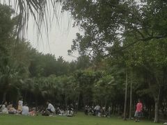 -深圳湾公园(南山区)