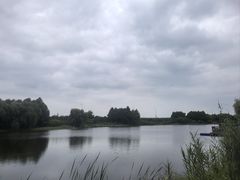 -合肥滨湖国家森林公园