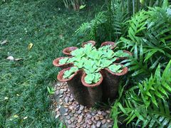 -四季酒店下午茶