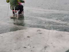 -丁香湖公园