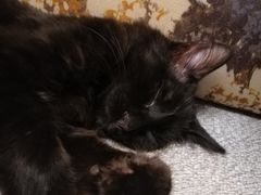 -大观园影院式足浴Spa店(沙坪坝店)