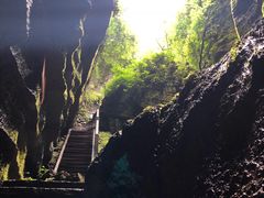 -梦幻奥陶纪景区