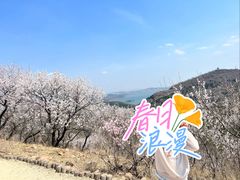 -棋盘山风景区