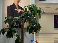 -海马体照相馆(北京apm店)