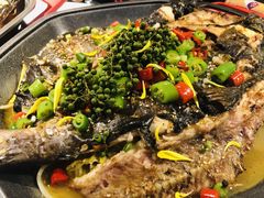 -马邦子·紫苏烤鱼(恒隆广场店)