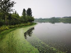 -东郊湿地公园