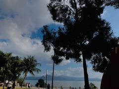 -深圳湾公园(南山区)