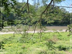 -广东花都湖国家湿地公园