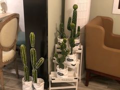 -春风·有糖(崇宁路店)