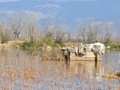 -西昌邛海湿地
