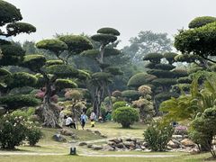 -南宁南湖公园