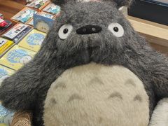 -猫的天空之城概念书店(束河店)