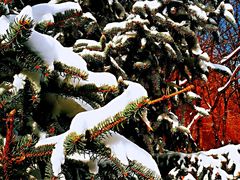 -长春公园(普阳街道)