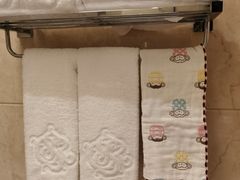 -上海星河湾酒店(闵行店)