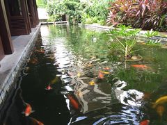 五号度假别墅酒店-三亚亚龙湾五号度假别墅酒店