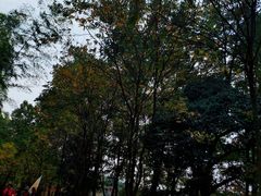-山沟沟景区