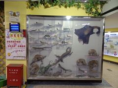 -上海大自然野生昆虫馆(东方明珠·爬宠昆虫探索中心)