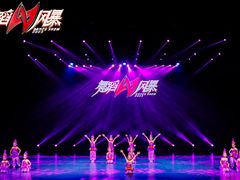 -西安小天鹅艺术团(曲江Alice店)