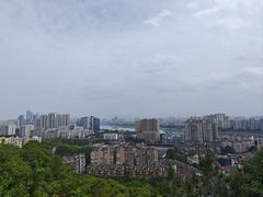 -福道