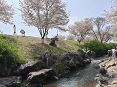 -羊山湖公园