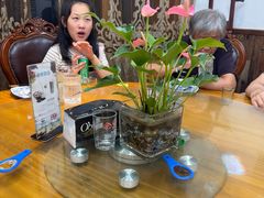 -小小饭店·休闲农庄·安吉松树林里的农家菜