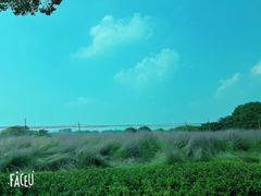 -七的湖·晚芳亭·阳澄湖农家菜·大闸蟹(莲花岛店)