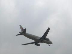 -空港花田景区