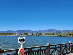 -野鸭湖国家湿地公园