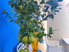 -茶救星球·蔬果茶(东城万达店)