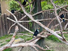 -野生动物园-停车场