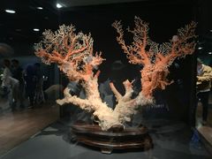 -台北故宫博物院