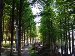 -苏州独墅湖世尊酒店