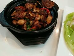 台湾三杯鸡-零度空间·台湾小馆(五道口购物中心店)