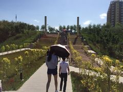 -小绿谷公园