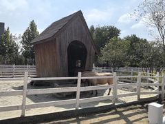 -祥源·阜阳生态乐园