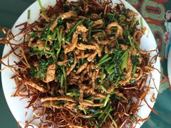 毛毛春饼(道里店)-毛毛春饼(尚志大街店)