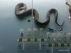 -国家自然博物馆