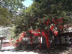 -浙北大峡谷