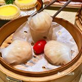 点都德｜是除火锅外也能征服我的美食❗️