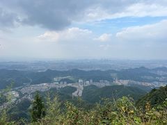 -午潮山国家森林公园