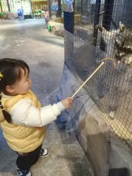 -酷嗒动物文化乐园(cutezoo西溪乐天城店)