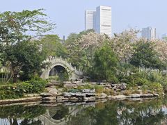 -四海公园(南山区)