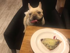 -百好乐宠物友好餐厅(朝外大街店)