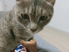 -熊猫一间店欧式奶茶铺