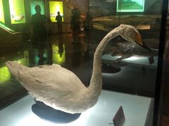 -陕西自然博物馆