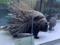 -国家自然博物馆