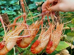-七的湖·晚芳亭·阳澄湖农家菜·大闸蟹(莲花岛店)