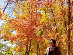 -长春市南湖公园