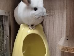 -龙猫仔乐园(惠福东路店)