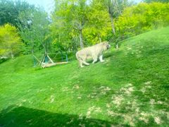 -北京野生动物园